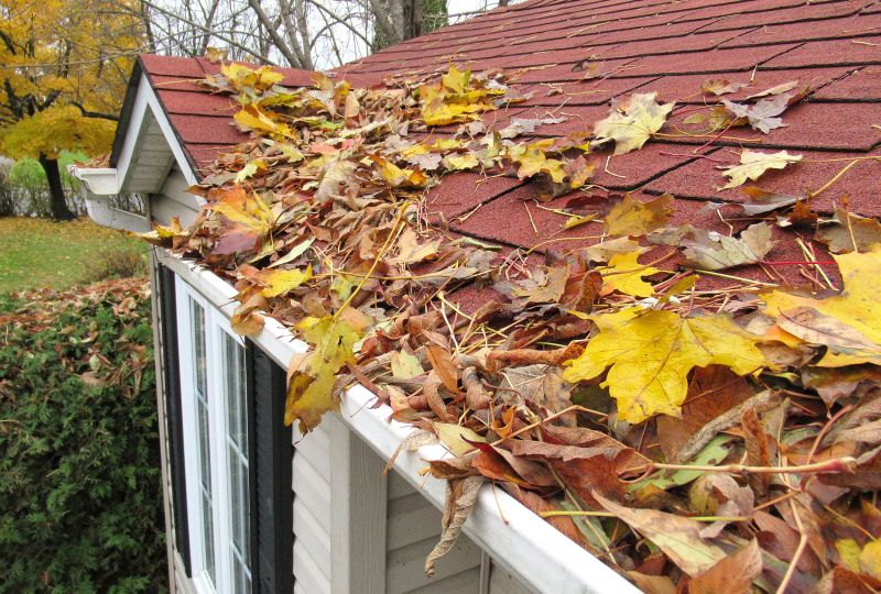 Roof Repair During Fall